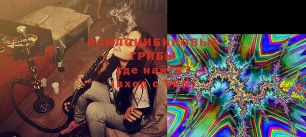 хмурый Алексеевка