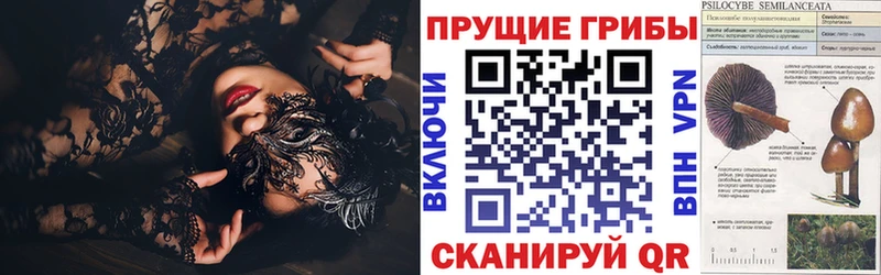 Галлюциногенные грибы Magic Shrooms  купить наркотик  Новоульяновск 